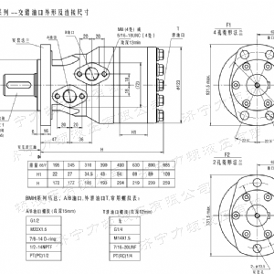 BMH系列交错油口乐动网-乐动（中国）马达